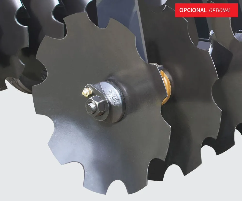 standard-discos-22